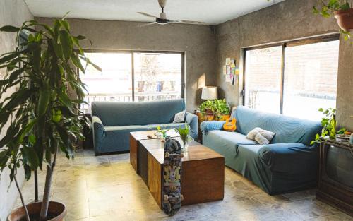 Downtown San Jose del Cabo Hostel | Desert Heart Hostel