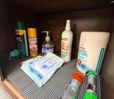 South Haven Other | Dome Haven Glamping