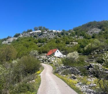 Cetinje Municipality House | Donja Zaljut Nature