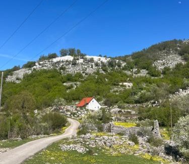 Cetinje Municipality House | Donja Zaljut Nature