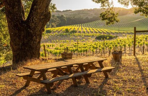 Paso Robles House | Dunning Ranch Guest Deluxe