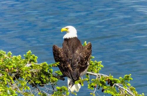 Diamond Point House | Eagles' Oceanview