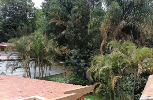 Santa Maria Ahuacatitlan House | El Apapacho