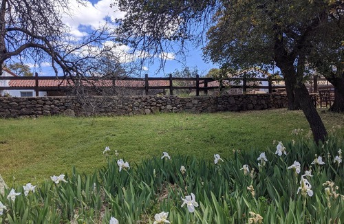 Oracle House | El Rancho Robles in Oracle