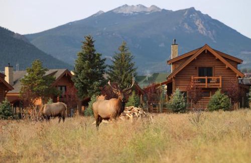 Estes Park House | Estes Escape – Jacuzzi, Indoor/Outdoor Fireplace and BBQ Grill