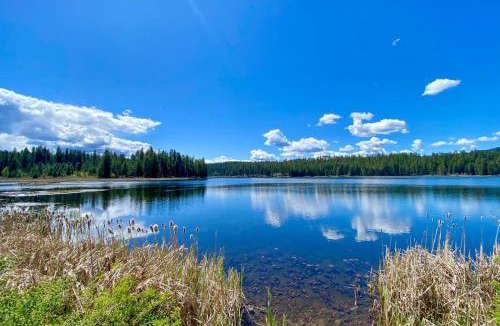 Sagle House | Eureka Lodge