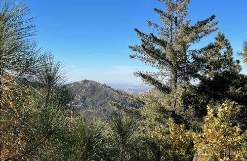 Lake Arrowhead House | EV level 2, Pets Welcome at Sunset Ridge