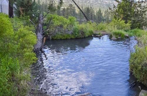 Shaver Lake House | Evergreen Escape