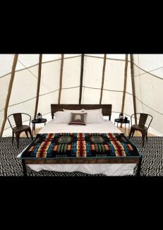Fort Washakie House | Experience Pet-Friendly Perfection: Classic Tipi Glamping Near Wind River Mountains, WY