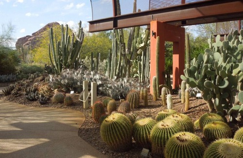 South Scottsdale Resort | Explore the Wild West! Mountain Views, 5 Pools, Free Parking, Near Camelback Mtn