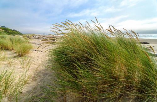 Seaside House | Fairway and Far Away