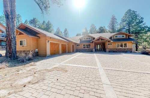 Flagstaff House | Forest Drama