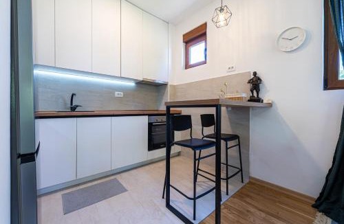 Kolasin Apartment | FOREST GREEN