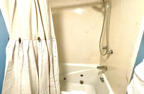 Mount Ida Apartment | Forest view 2 bed bath condo on Lake Ouachita