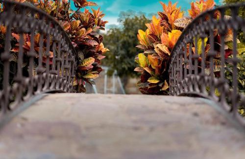 Cuernavaca House | Forget about everything and relax!