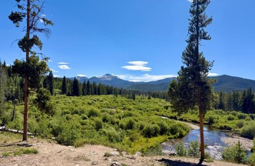 Fraser House | Fraser Adventure Base! Condo Near Hiking & River