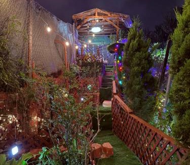 Tijuana House | Garden and chill