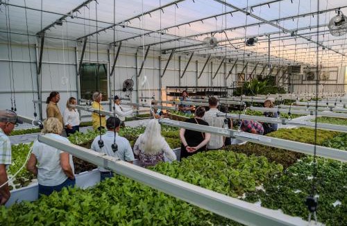 Sandpoint Other | Genesis Mountain Farm