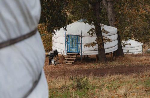 Dunlap House | Glamping yurt at a nature retreat near Sequoia