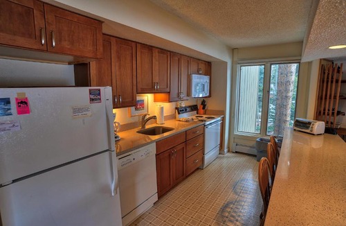 Peak 8 House | Gold Camp II E87 (Condo)