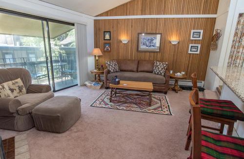 Peak 8 Apartment | Gold Camp Placer Condo: On Shuttle Route