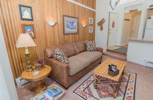 Peak 8 Apartment | Gold Camp Placer Condo: On Shuttle Route