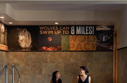 West Yellowstone Hotel | Gray Wolf Inn & Suites