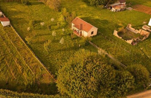 Pricelje House | Green Little Cottage with Pool near Ostrog Monastery