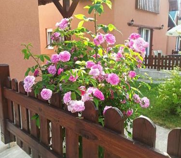 Kolasin House | Holiday home Ivana