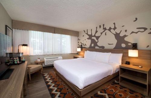 Estes Park Hotel | Holiday Inn Estes Park by IHG