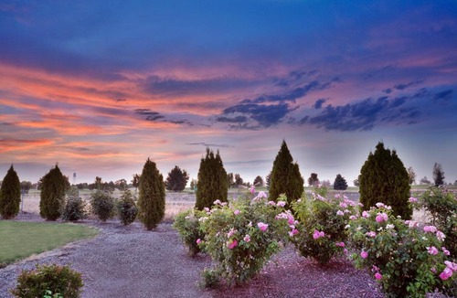 Nampa Hotel | Holiday Inn Express & Suites Nampa - Idaho Center by IHG