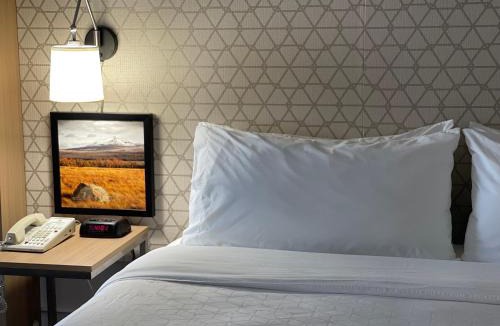 Great Falls Hotel | Holiday Inn Great Falls-Convention Center by IHG