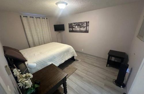 Deadwood Apartment | Homestake Haven