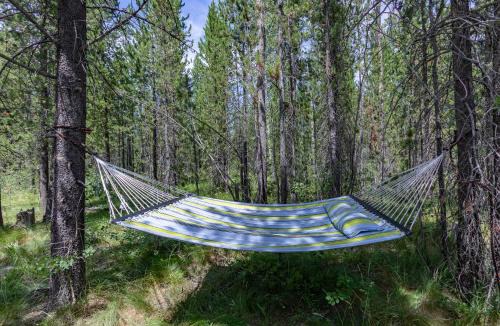 Island Park House | Hooter Hollow by KABINO Fire Pit Big Driveway SmartTV Grill WiFi