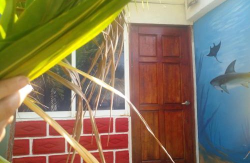 Sontecomapan House | Hostal