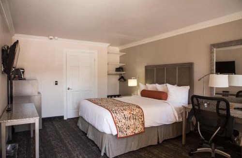 Old Mountain View Hotel | Hotel Aria