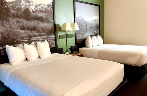 Salmon Hotel | Hotel Salmon