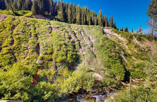 Salt Lake Mountain Resorts House | Iconic creekside mountain home with hot tub fireplaces balcony & amazing views