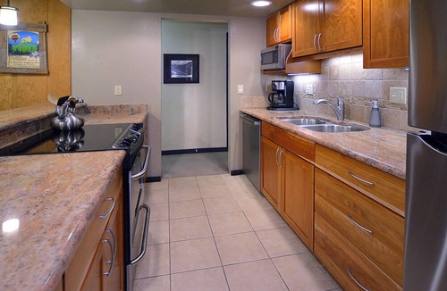 Mount Crested Butte Condo | Ideal Mountain Condo! Ski-In/Ski-Out, Slopeside with Beautiful Views