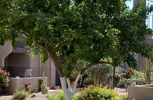 Winfield Place Condo | Ideal Scottsdale Location! Modern Luxury/Comfort in Old Town!