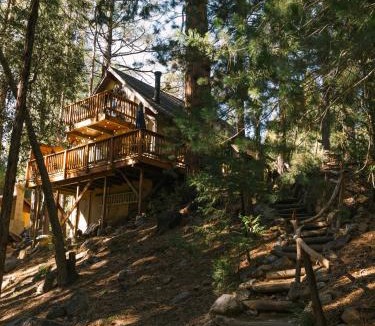 Idyllwild House | Idyllbrook Brookside Gazebo Fenced Deck, EV