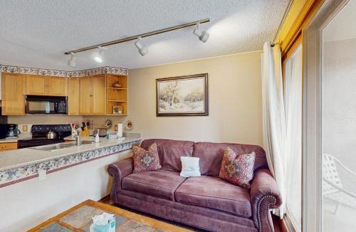 Winter Park Apartment | Iron Horse Resort 3063