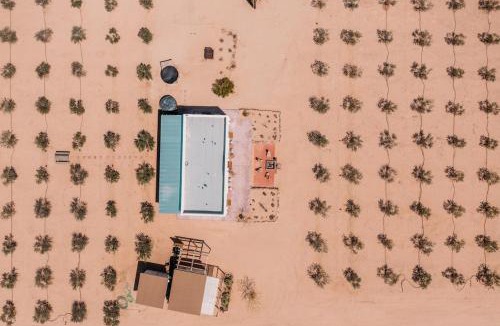 Twentynine Palms House | Joshua Tree Olive Farm - Serenity, Spa, Views