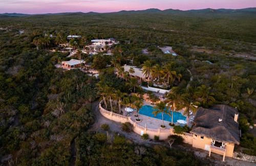 Vinorama Bed & Breakfast | La Valise Los Cabos, Member of Small Luxury Hotels