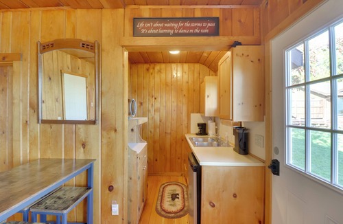 Lakeside Cabin | Lakeside Cabin w/Beach ~ 14 Mi to Ski Area!