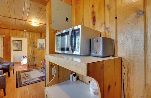 Lakeside Cabin | Lakeside Cabin w/Beach ~ 14 Mi to Ski Area!