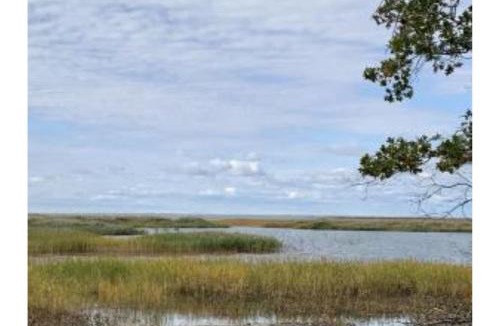 Au Gres House | Lakeview & Wildlife