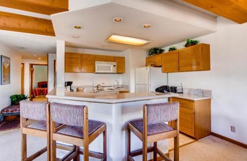 Mount Crested Butte Apartment | Large 2 Br With Open Floorplan Condo