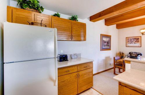 Mount Crested Butte Apartment | Large 2 Br With Open Floorplan Condo