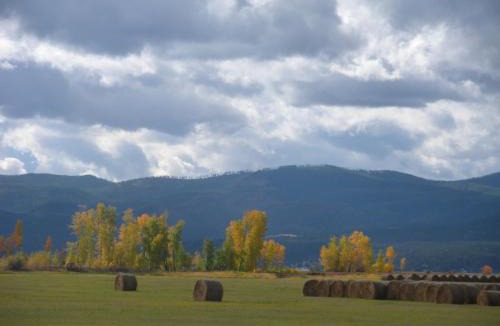 Swan Lake House | Laughing Horse Lodge
